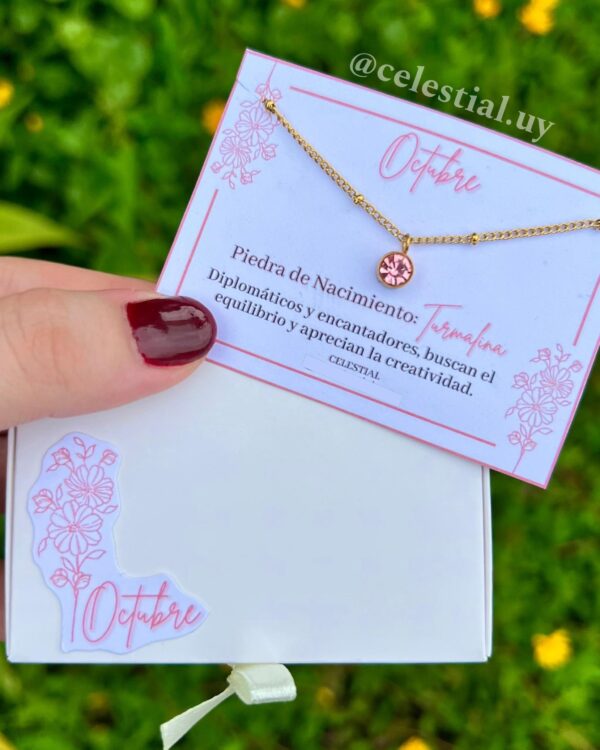 Collar de Acero con piedras de nacimientos (12 MESES) - Imagen 11