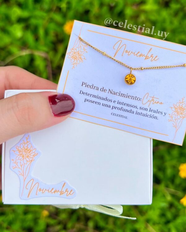 Collar de Acero con piedras de nacimientos (12 MESES) - Imagen 12
