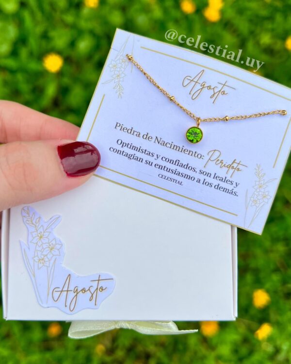 Collar de Acero con piedras de nacimientos (12 MESES) - Imagen 9