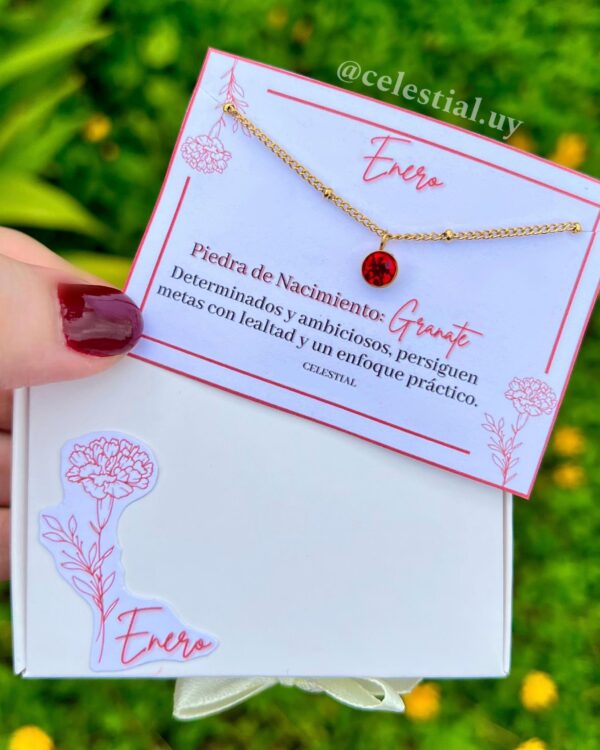 Collar de Acero con piedras de nacimientos (12 MESES)