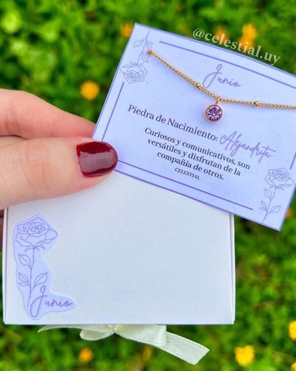 Collar de Acero con piedras de nacimientos (12 MESES) - Imagen 7